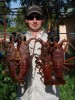 Exmouth Red Crays